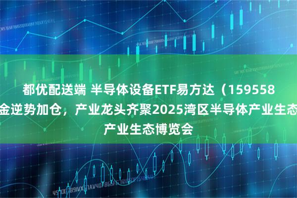 都优配送端 半导体设备ETF易方达（159558）获资金逆势加仓，产业龙头齐聚2025湾区半导体产业生态博览会