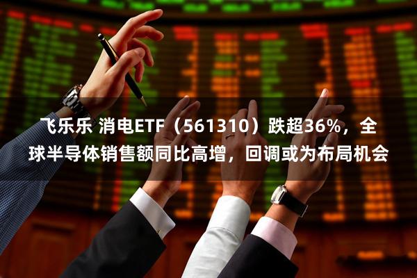 飞乐乐 消电ETF（561310）跌超36%，全球半导体销售额同比高增，回调或为布局机会