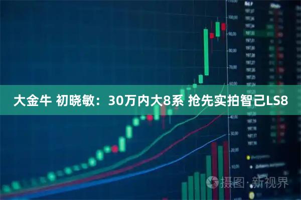 大金牛 初晓敏：30万内大8系 抢先实拍智己LS8