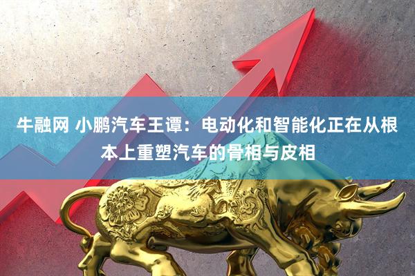牛融网 小鹏汽车王谭：电动化和智能化正在从根本上重塑汽车的骨相与皮相
